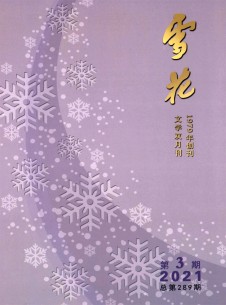 点击查看雪花