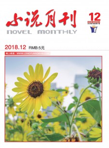 点击查看小说月刊