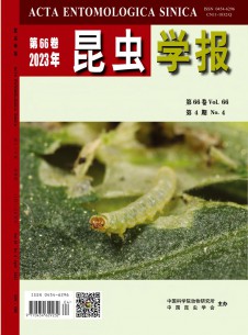 点击查看<b>昆虫学报</b>