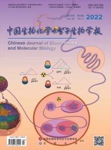 点击查看<b>中国生物化学与分子生物学报</b>