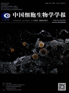 点击查看中国细胞生物学学报