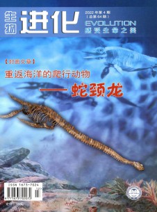 点击查看生物进化